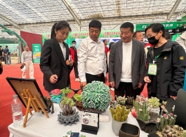 青州花卉产业绽放“热带风情”