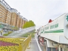 50万株花卉扮靓市区